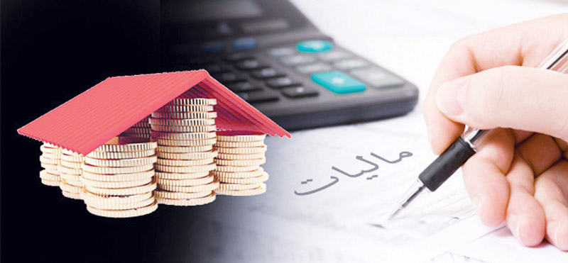 ممیز مالیاتی